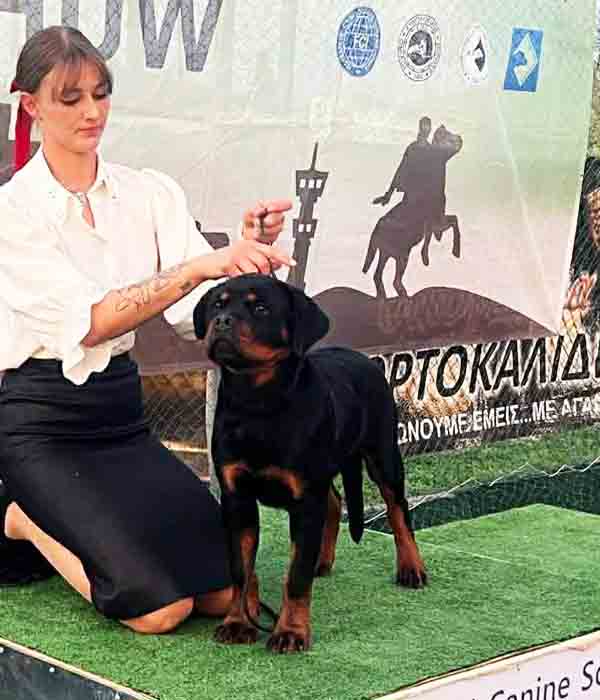 Αγώνες