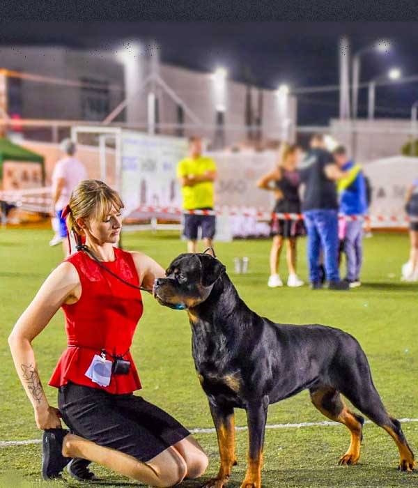 Νίκη Τιλκερίδου και πρωταθλητής Rottweiler 