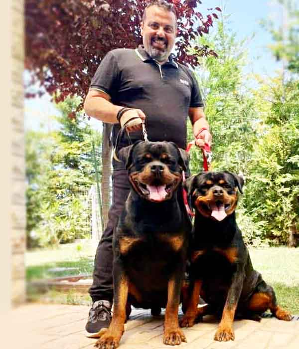 Verner & Rottweiler