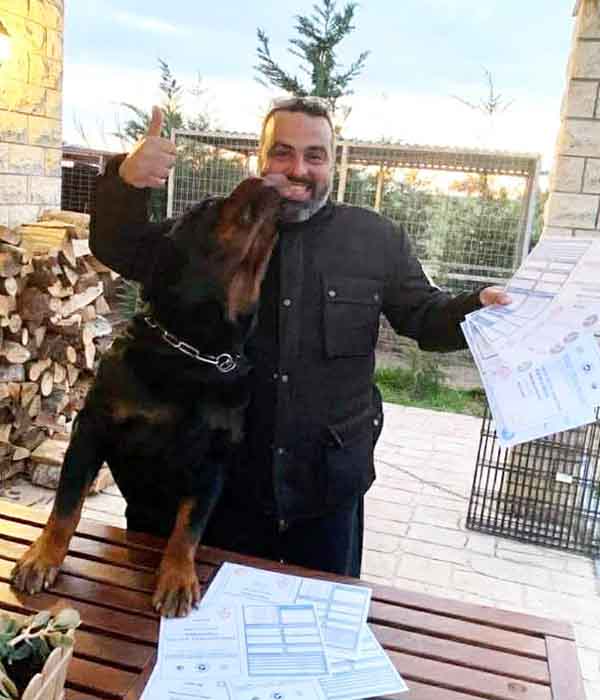 Γιάννης Βέρνερ Ροτβάιλερ
